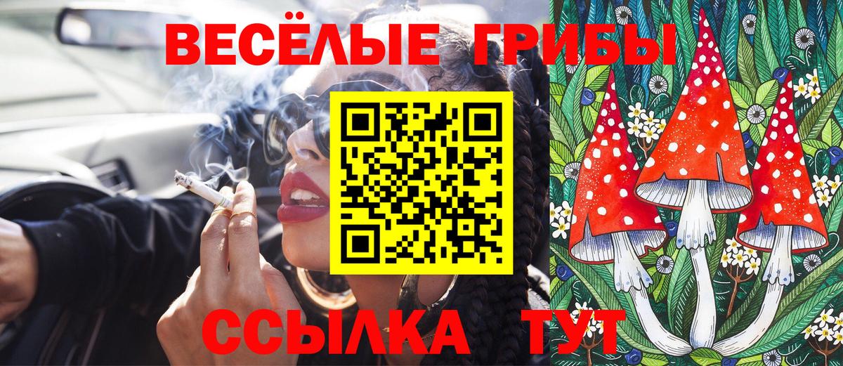 Псилоцибиновые грибы MAGIC MUSHROOMS Иваново